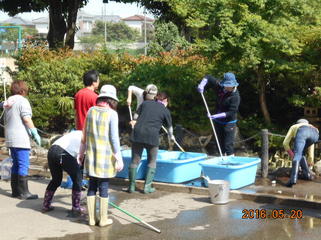 Pta池掃除 深谷市立桜ヶ丘小学校
